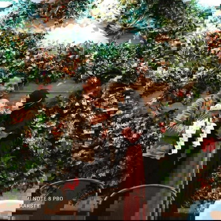 Birth Story (telaat bgt ceritanya)