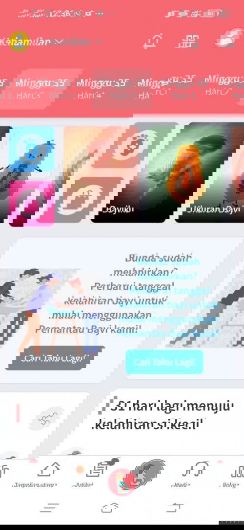 Bolehkah makan nanas?