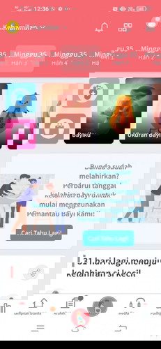 Bolehkah makan nanas?