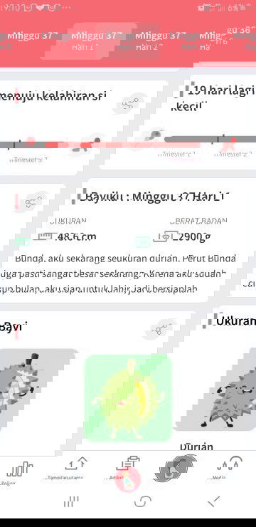 Asi yang belum juga keluar