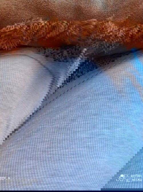 Berbagi info penting