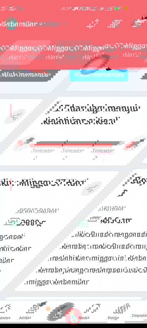 Menunggu Gelombang Cinta