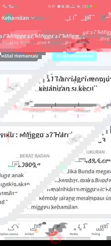 Menunggu Gelombang Cinta