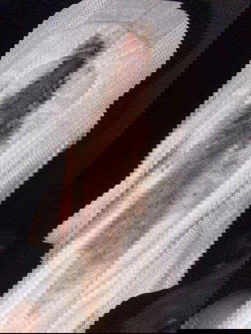 แบบนี้น้ำคาวปลาปรกติไหมค่ะ สีจริงออกดำๆเขียวๆ มีกลิ่นคล้ายประจำเดือน