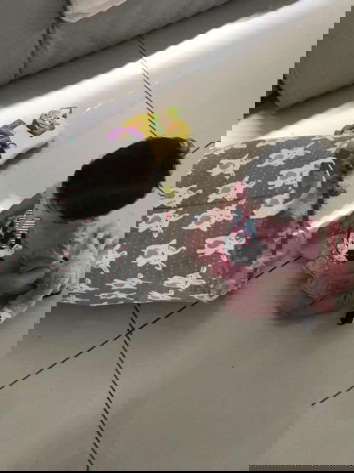 suppliment ibu mengandung