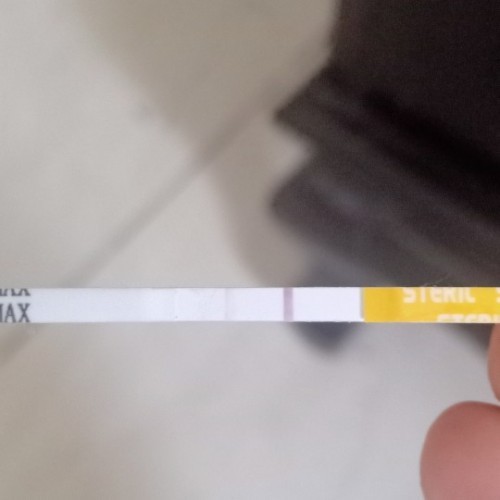 seputar testpack