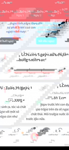 Mom nào mat miệng đi ngang chuc mẹ con e sớm gặp nhau đi ak, giờ mà chua rục rịch gi cả..nôn lắm..😂