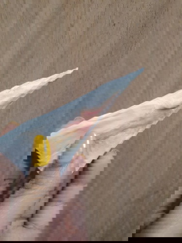 ท้อง 6 สัปดาห์ แล้วมีเลือดออกผิดปกติไหม?