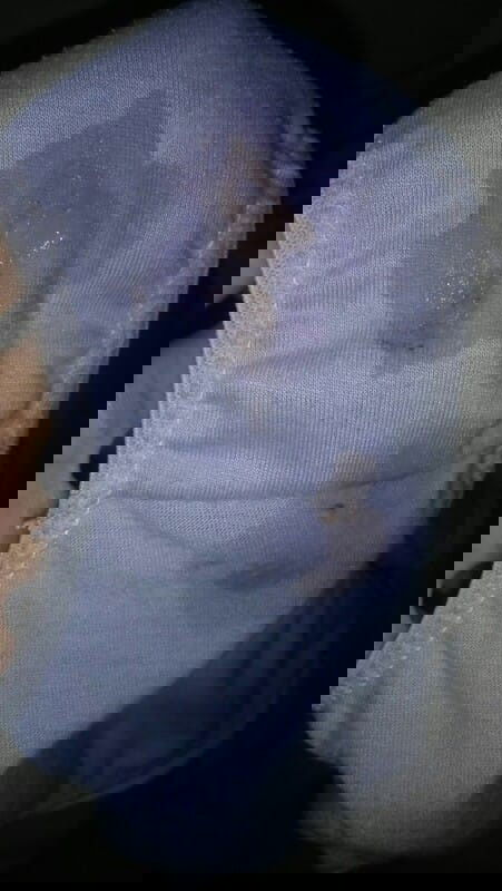 Cairan kuning ke coklatan muda