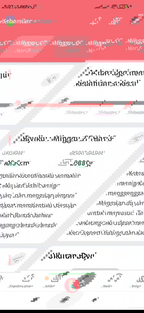 Menunggu gelombang cinta utun