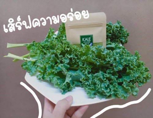 ลูกบ้านไหน เบื่อข้าว ไม่ชอบทานผัก ทางนี้เลยจ้า