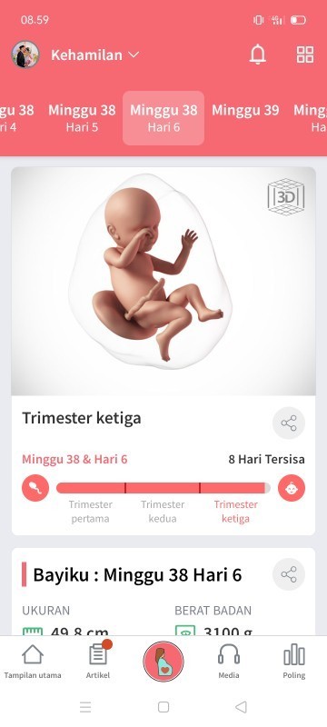 Segera launching baby