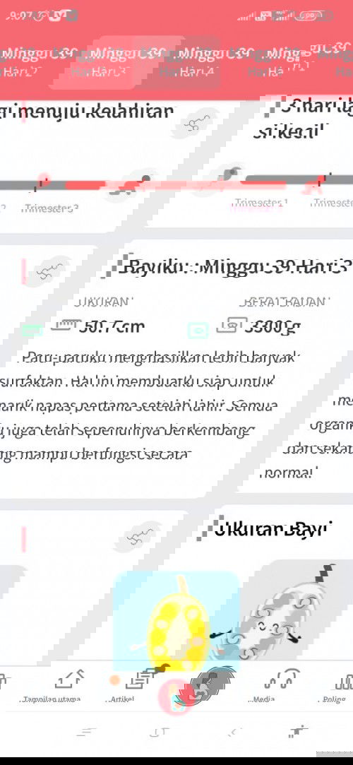 Semoga cepet launcing