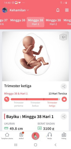 Keluhan kehehamilan