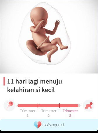 Menunggu gelombang cinta dari detun 🥺🥺