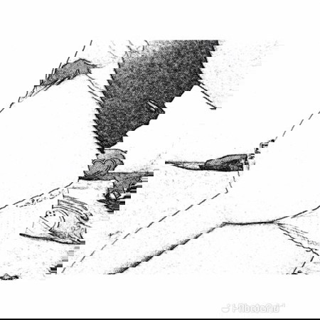 34wแล้วค่ะยังไม่เเน่จัยเลยจะเป็นเพศไหน😉มาทายกันค่ะเเม่ๆ😉