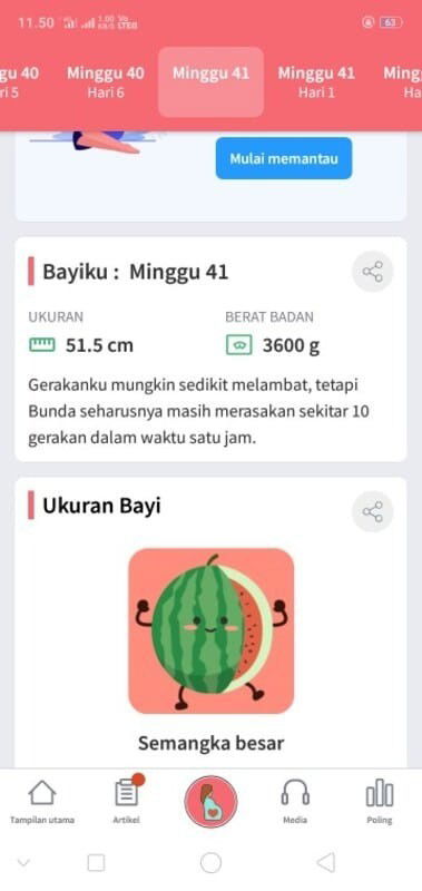 41 minggu belum lahir