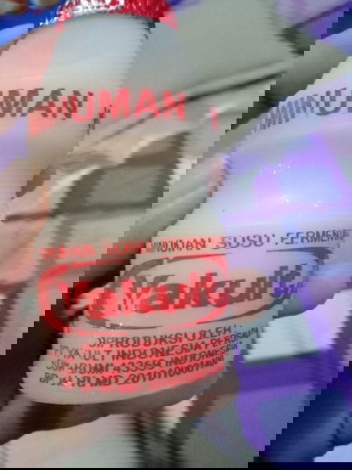 Yakult untuk ibu hamil