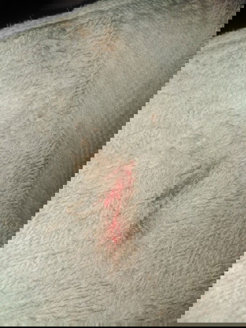 Mga mommies, ano po kaya ito?