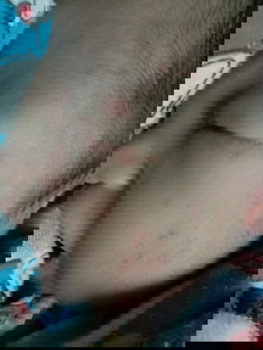 ลูกแพ้นมหรือป่าว