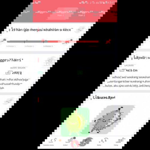 Usia Kehamilan HPL JUNI