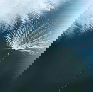 Mình mang thai dk 10tuân mà lên 2kg vậy có tốt không ạ?