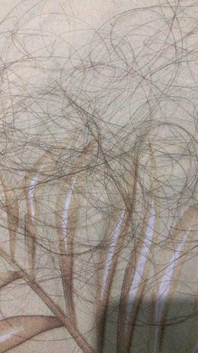 rambut rontok