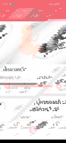 ทีม มิถุนายน