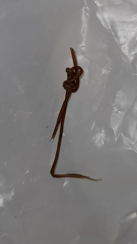 Bun srius nanya.aku bru brs sc bru 10hri.