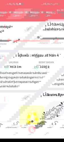 Bismillahirrahmanirrahim