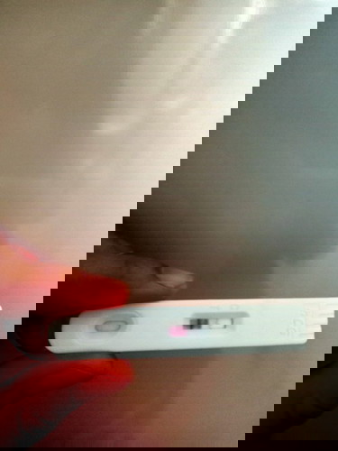 Pregnancy Test