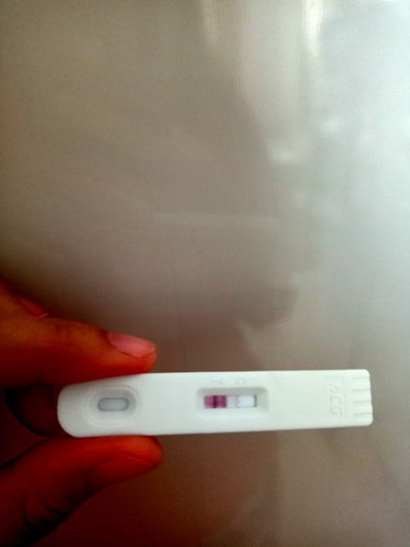 Pregnancy Test