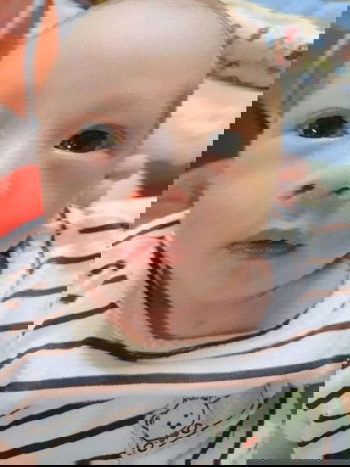 ต้าวเจ้าสัว