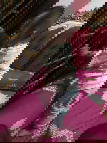 Bayi 7 bulan suka berdiri