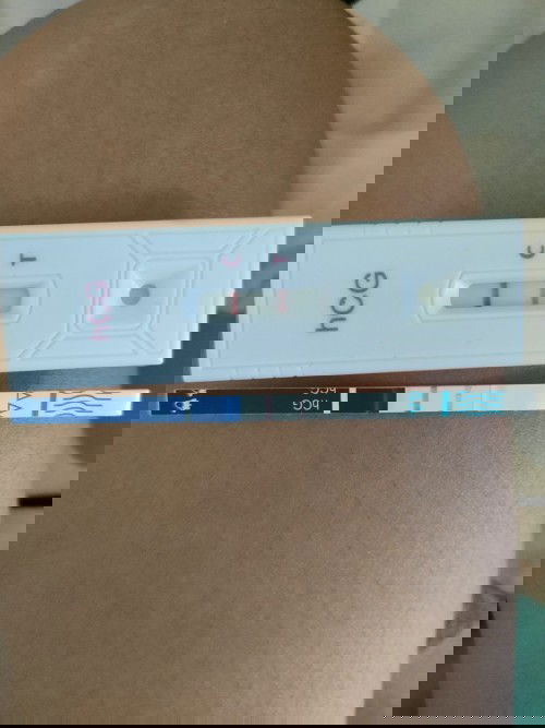 มีเลือดออก