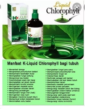 Chlorophyll jus boleh ke orang mengandung meminumnya
