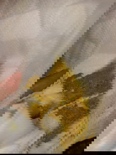 สอบถามเกี่ยวกลับเรื่อง อุจจาระ