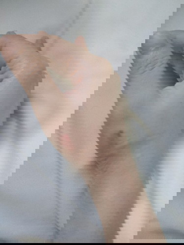 หมาพันธุ์เล็กกัด