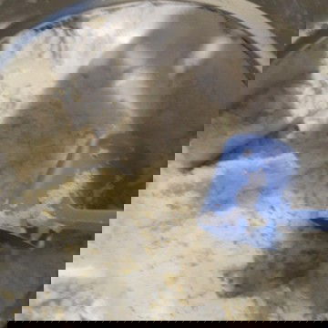 SUFOR SIMILAC GAINPLUS 1-3THN