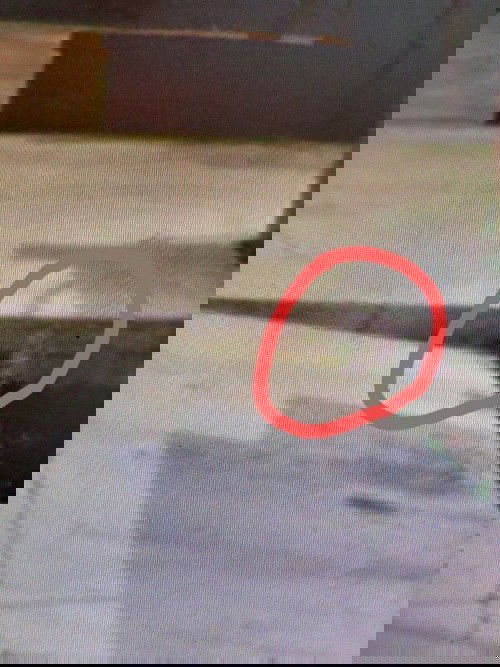 pengalaman masa kecil