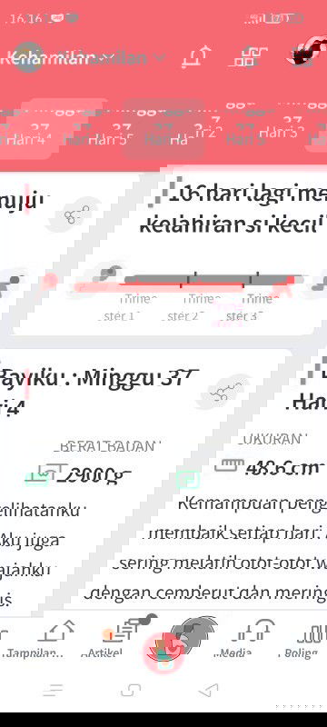 Kehamilan pertama di usia 37w4d