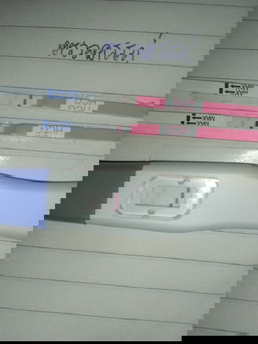 การตั้งครรภ์