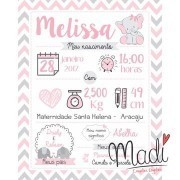 Baby Birth Info