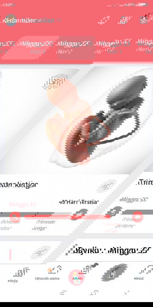 Gak sabaran nunggu si dedeknya