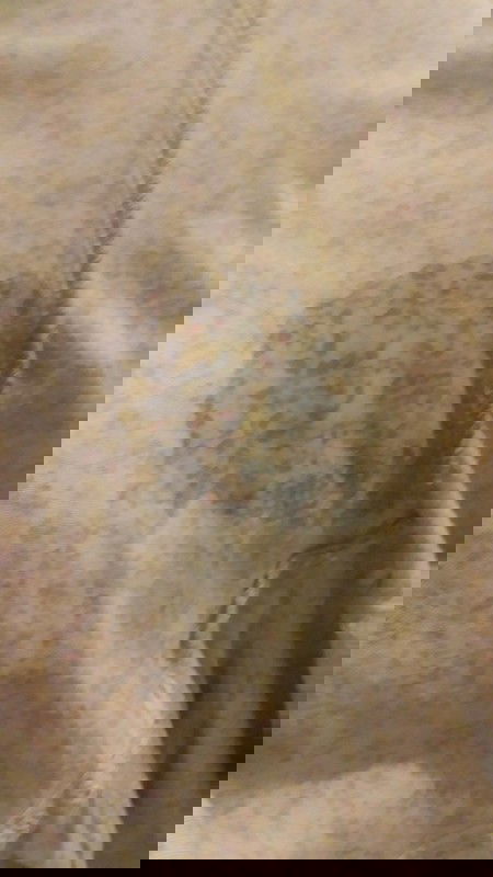 Ketuban rembes uk 37w5d