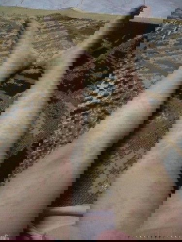 Ditrimester akhir ini nikmat pun bertambah π’ kira2 ngaruh ga ya ke debaynya ? Gatelnya ga nahaaann