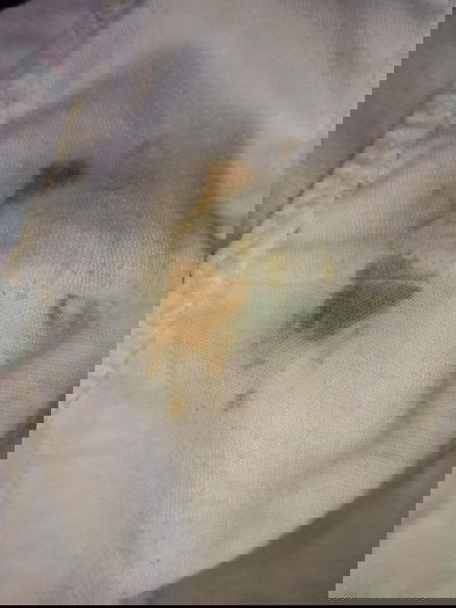 LIGHT BROWN DISCHARGE @ 36 weeks and 1 day.