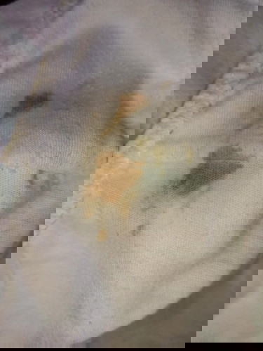 LIGHT BROWN DISCHARGE @ 36 weeks and 1 day.