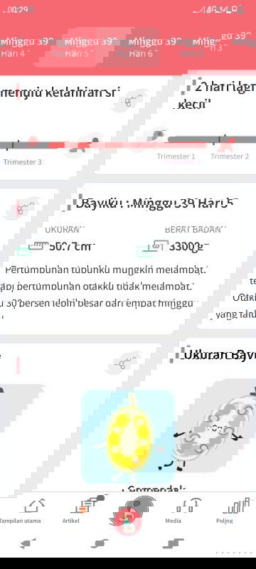 Usia kehamilan 30 Minggu