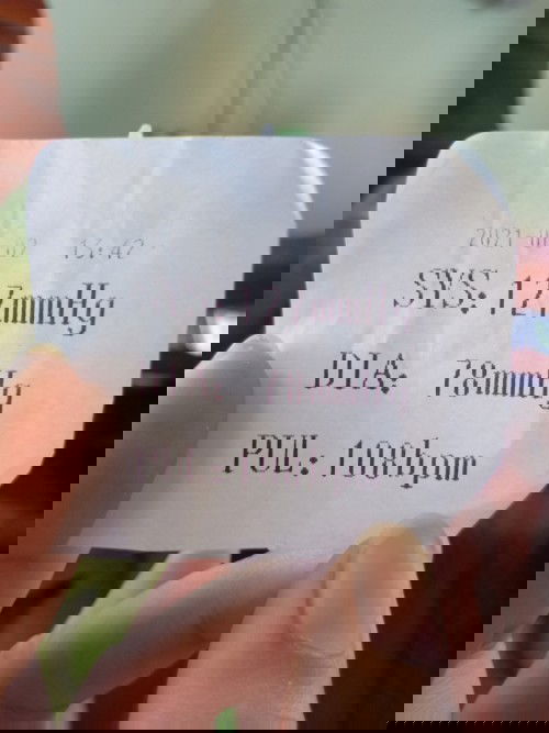 แบบนี้ถือว่าปกติไหมคะ?